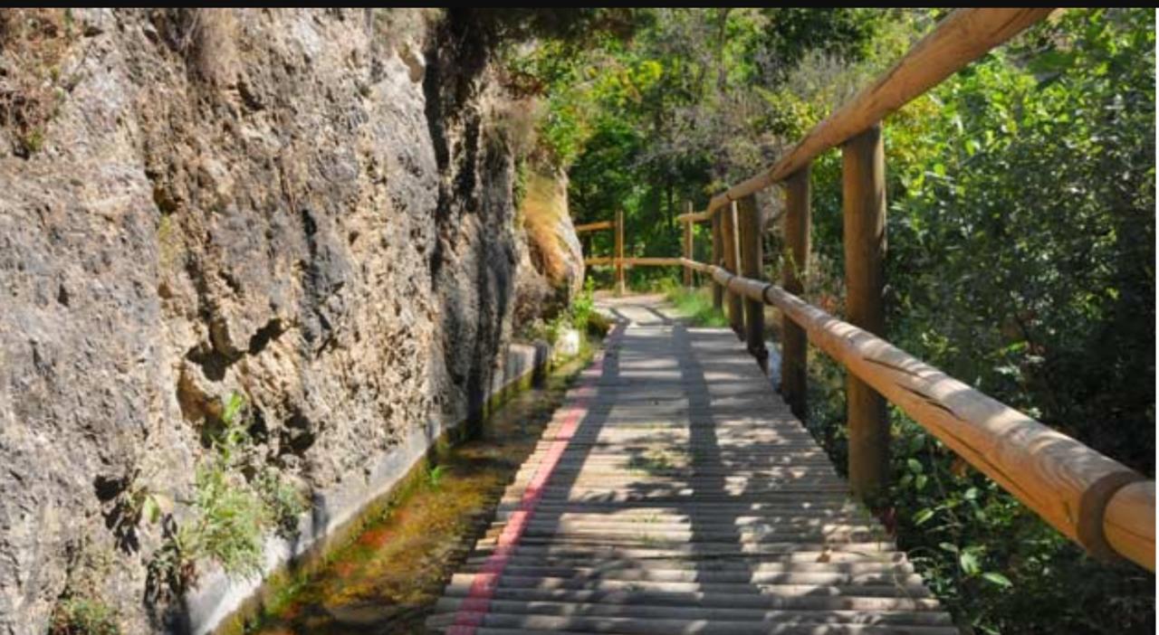 Camping Ruta Del Purche Monachil Exterior photo